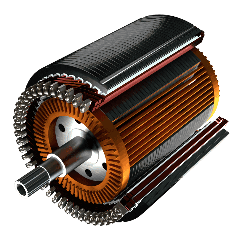 ASM Asynchronmotor Motorschnitt